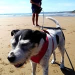 Stephen Craggs - @stephen.craggs - Instagram