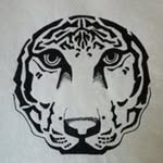 Stephen Crain - @stephen_crain - Instagram