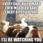 Stephen Crain - @stephen.acoolbreeze - Instagram