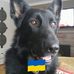 Steven Cromwell - Facebook