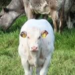Stephen Cusack - @stephen.cusack.92 - Instagram