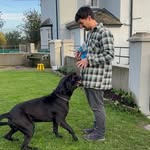 Stephen Cusack - @stephen_cusack_ - Instagram