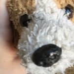 Stephen Cusick - @cusick_stephen - Instagram