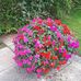 Stephen Cutler - Facebook