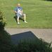 Stephen Dade - Facebook