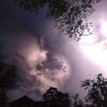 Stephen Dalman - @falherst - Instagram