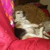 stephendamrom33 - @stephendamron - TikTok