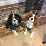 Steven Damron - @steven.damron.77 - Instagram