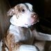 Steven Danko - Facebook