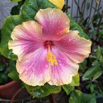 Stephen Danner - @stephendanner9 - Instagram