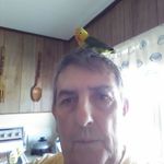 Stephen Darcy - @stephen.darcy.547 - Instagram