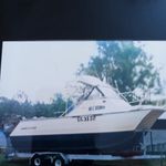 Stephen Darcy - @stephen.darcy - Instagram