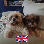 Stephen D'Arcy - @darcy.stephen - Instagram