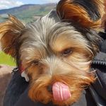 Stephen Darcy - @stephen.darcy.71 - Instagram