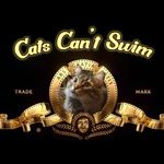 Stephen Deane - @cats_cant_swim - Instagram