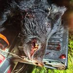 Stephen Deane - @pulsargti_ - Instagram