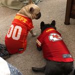 Stephen DeCosta - @maxx55 - Instagram