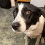 Stephen Deeley - @stephen_deeley - Instagram
