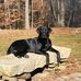 Steve Derosier - Facebook