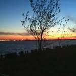 Stephen Deutsch - @stephen.deutsch - Instagram
