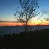 Stephen Deutsch - @stephendeutsch - TikTok