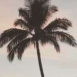 Stephen Devine - @steve.devine14 - Instagram