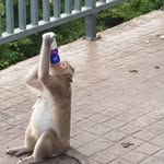 Stephen Dicker - @stephen.dicker - Instagram
