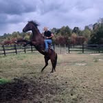 Stephen Dickson - @stephen_dickson12 - Instagram