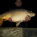 Stephen Didier - Facebook