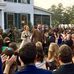 Stephen DiMare - Facebook