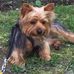 Steven Dobies - Facebook