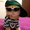 STEPHEN - @stephen_donato - TikTok