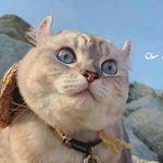 stephen dong - @stephen.8053 - Instagram