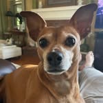 Stephen Dore - @stephendore3 - Instagram