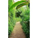 Stephen Dover - @stephendover3 - Instagram