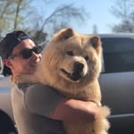 Stephen Dow - @sdow89 - Instagram