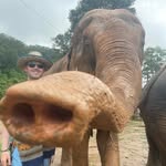 Stephen Dowling - @stephen_dowling04 - Instagram