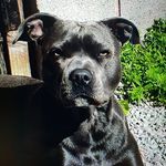 Stephen Doyle - @stephendoyle - Instagram