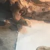 stephenthedragon8 - @stephenthedragon8 - TikTok