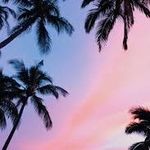 Stephen Drayton - @drayton.stephen - Instagram