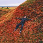 Stephen DuBois - @stephendubois - Instagram