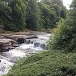 Stephen Duckling - @stephenduckling - Instagram