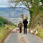 Stephen Duckmanton - @stephenduckmanton - Instagram