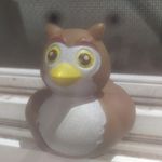 stephen the duck - @stephentheduck - Instagram