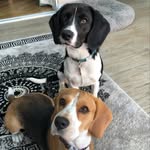 Stephen Duff - @duffster1976 - Instagram