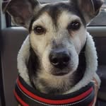 Stephen Duffin - @stephen.duffin.16 - Instagram
