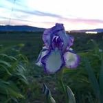 Stephen Dutton - @swdutton - Instagram