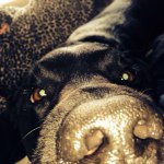 Stephen Dutton - @stephen_dutton99 - Instagram