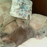 Stephen Dyer - @stephen.dyer510 - Instagram