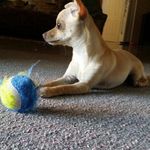 Stephen Dyson - @dysstephen - Instagram